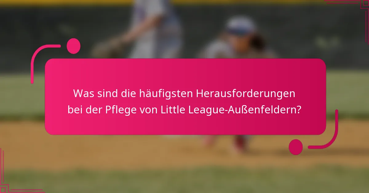 Was sind die häufigsten Herausforderungen bei der Pflege von Little League-Außenfeldern?
