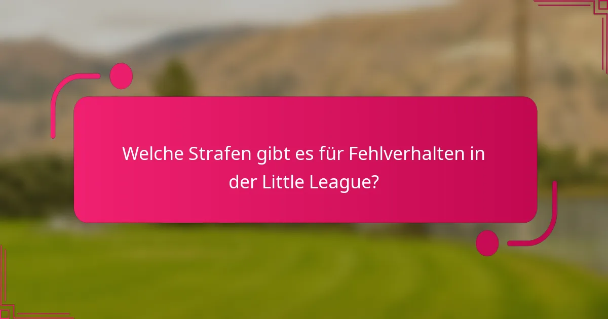 Welche Strafen gibt es für Fehlverhalten in der Little League?